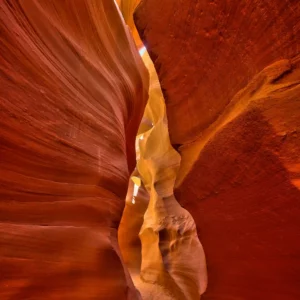 Actualité de l'Atelier céramique & design